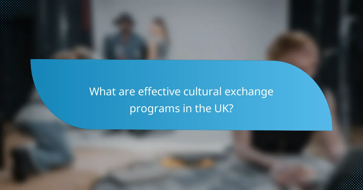 What are effective cultural exchange programs in the UK?