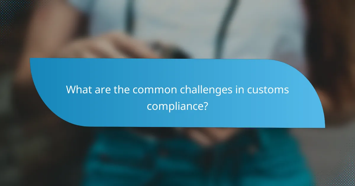 What are the common challenges in customs compliance?