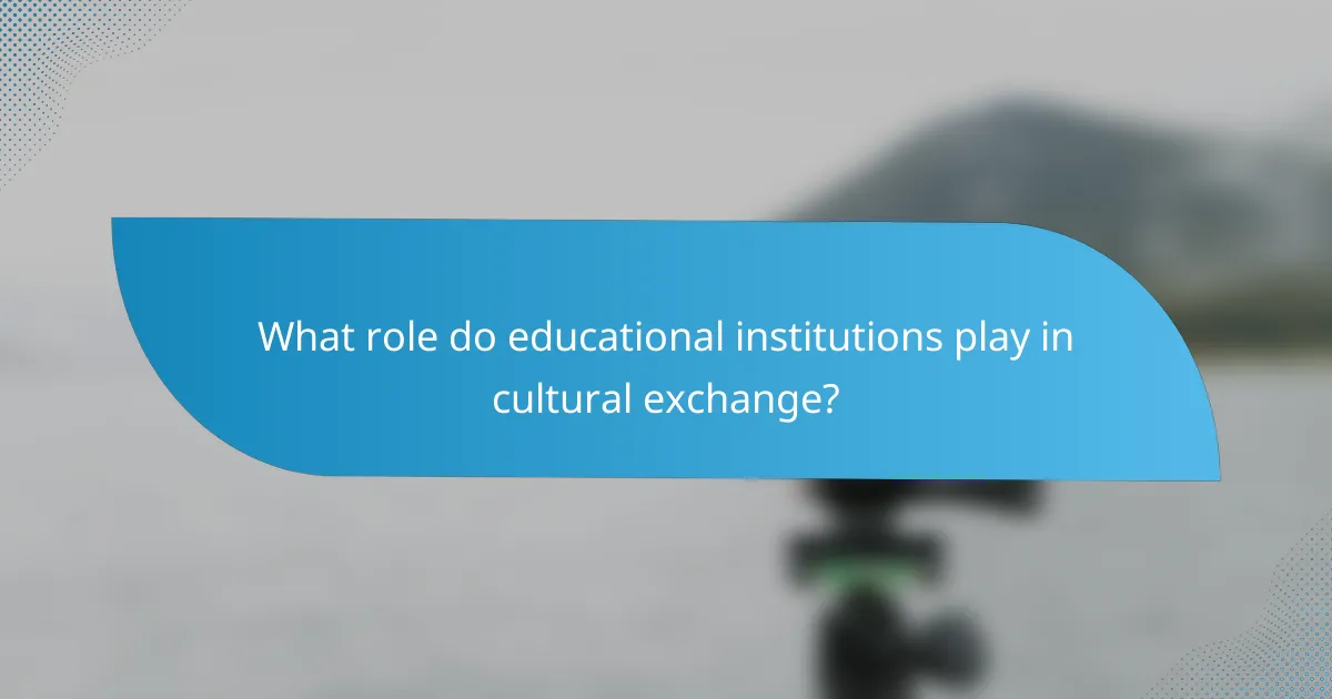 What role do educational institutions play in cultural exchange?