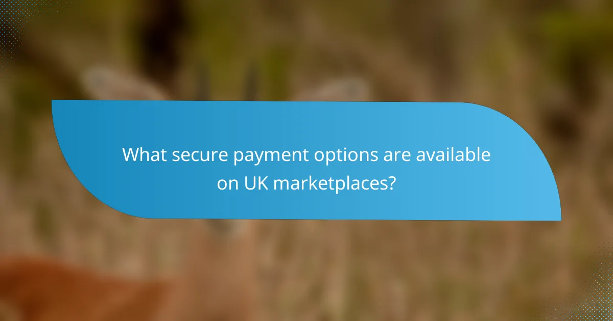 What secure payment options are available on UK marketplaces?