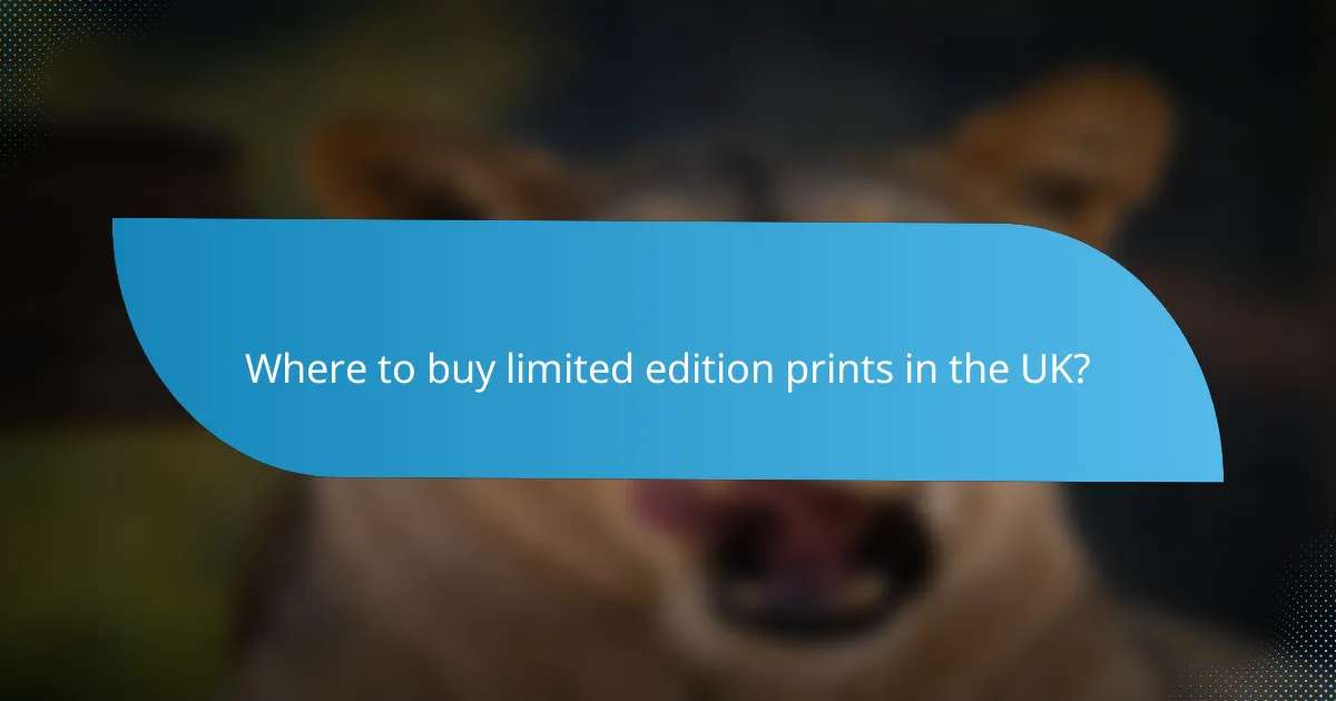 Where to buy limited edition prints in the UK?